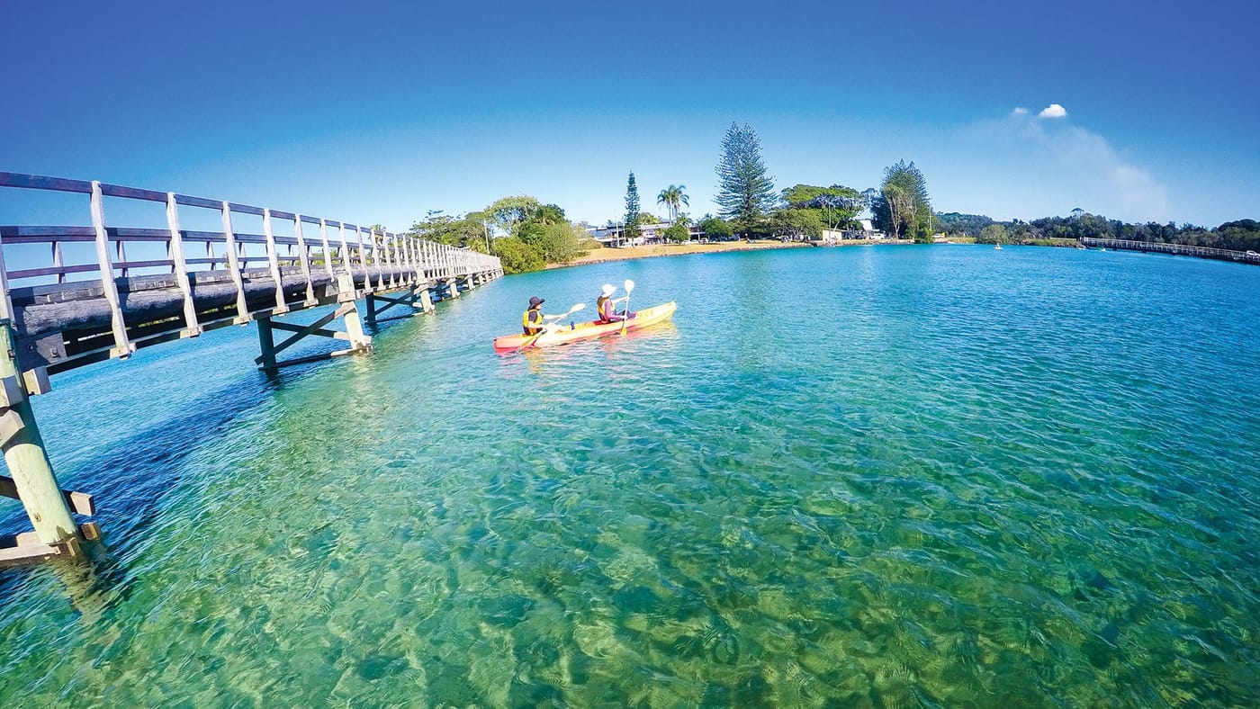 Brunswick River Nature Kayak Tour, Go Sea Kayak