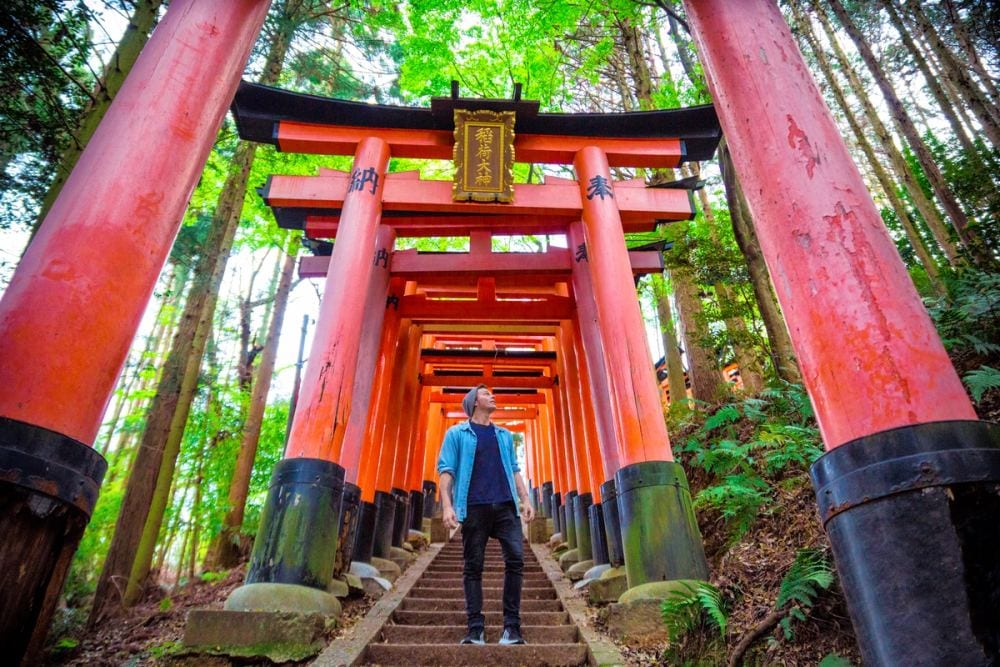 Japan Adventure, 13 Days Tokyo to Kyoto