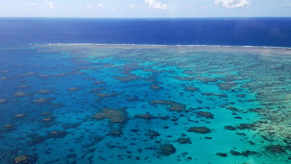 Great Barrier Reef from Cairns
